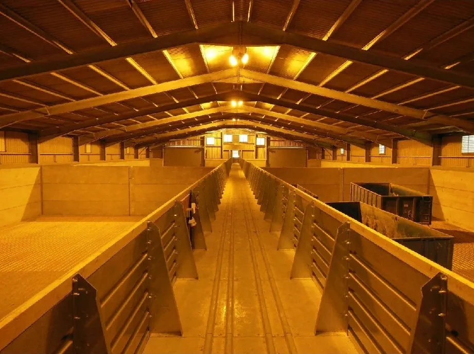 4000 Tonne Floor Store
